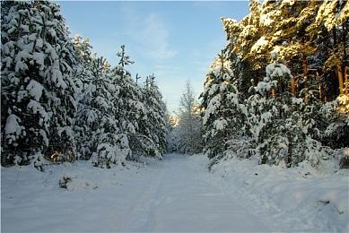 《热血硬派国夫君外传》新DLC透露 《双截龙2》兄弟参战